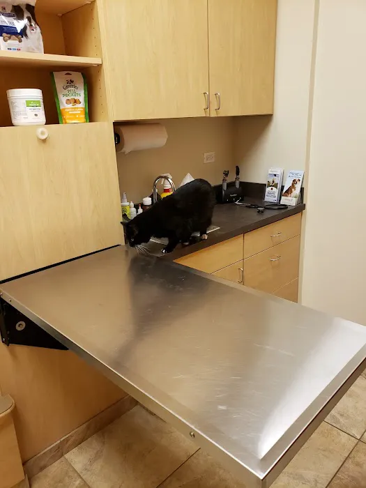 Oakhurst Animal Hospital 12