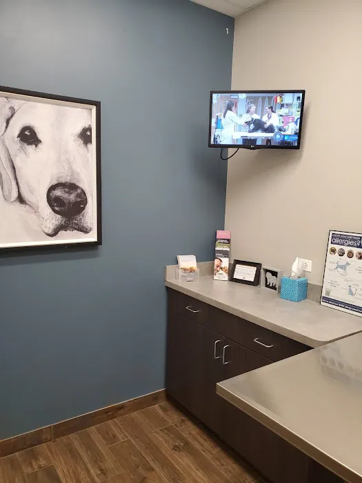 Foxmoor Veterinary Clinic 1