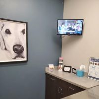 Foxmoor Veterinary Clinic ico
