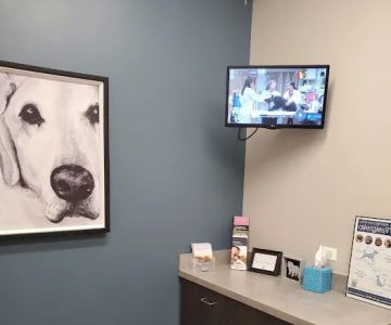 Foxmoor Veterinary Clinic