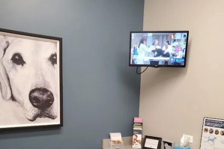 Foxmoor Veterinary Clinic