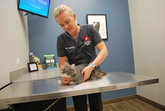 Foxmoor Veterinary Clinic 5