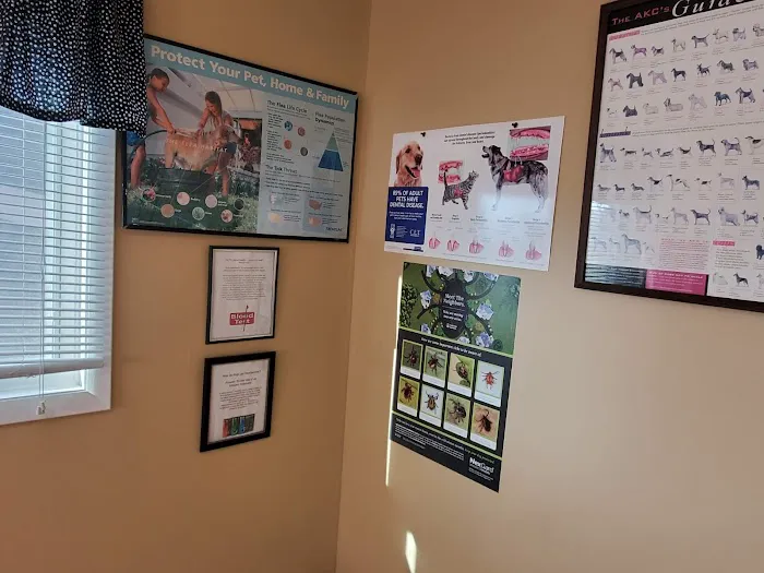 Animal Care Hospital 4