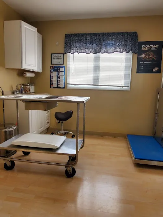 Animal Care Hospital 7