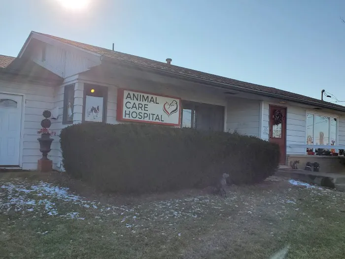 Animal Care Hospital 6