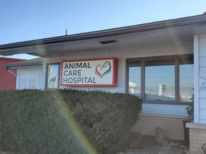 Animal Care Hospital 5