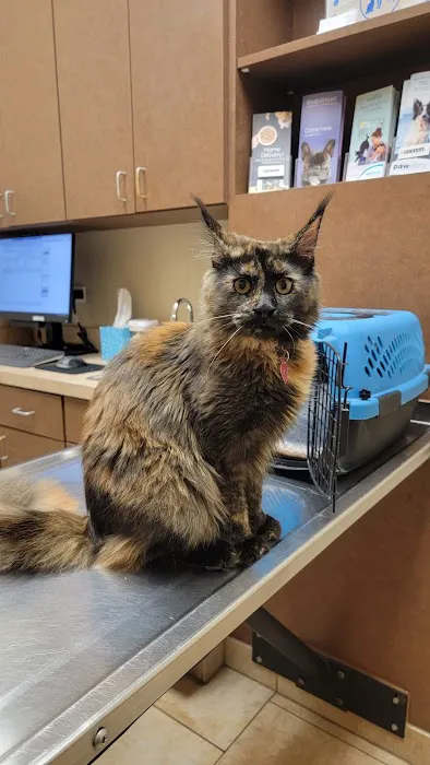 Oswego Animal Hospital 12