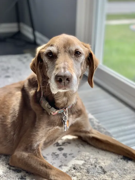Oswego Animal Hospital 12