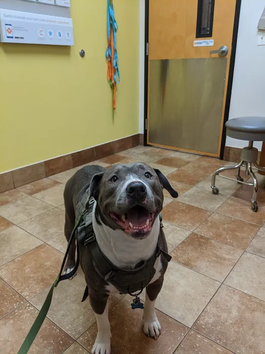 Banfield Pet Hospital 7