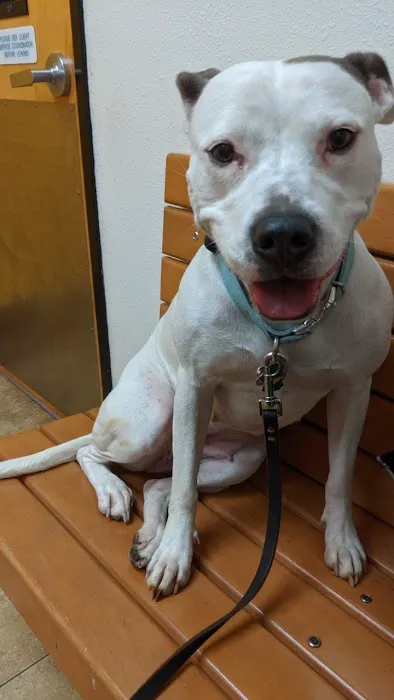 Banfield Pet Hospital 3