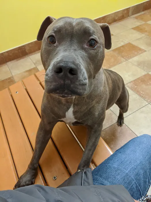Banfield Pet Hospital 5