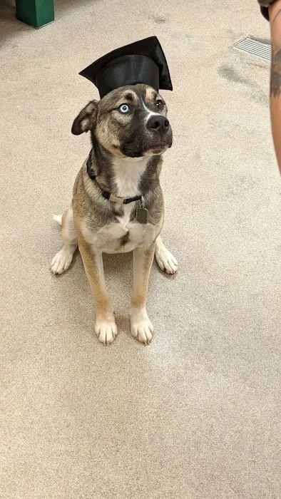 Banfield Pet Hospital 8