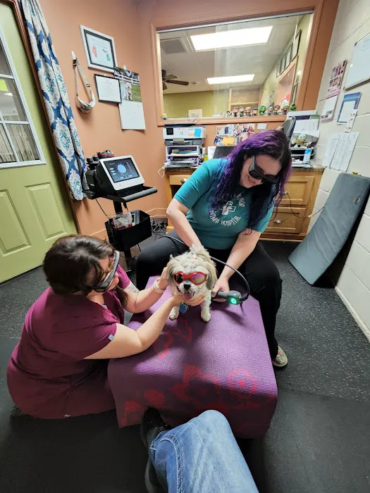 Veterinary Sports Medicine & Rehabilitation of Homer Glen 1