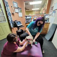 Veterinary Sports Medicine & Rehabilitation of Homer Glen ico