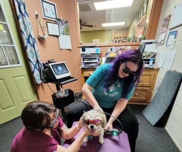 Veterinary Sports Medicine & Rehabilitation of Homer Glen