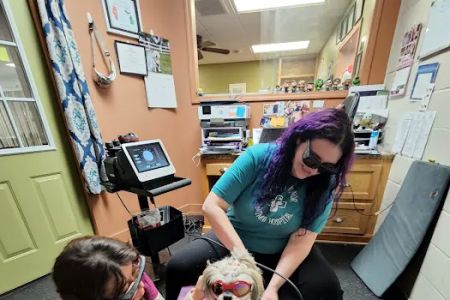 Veterinary Sports Medicine & Rehabilitation of Homer Glen