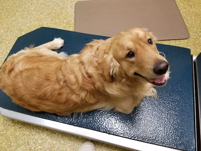 Wayne Animal Hospital 12