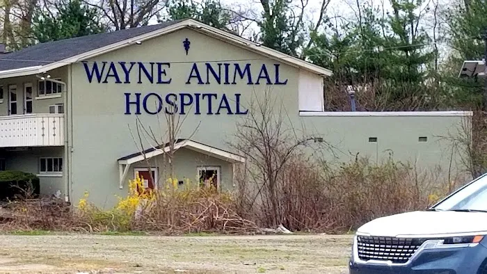 Wayne Animal Hospital 12