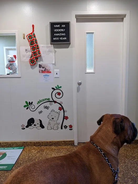 Wayne Animal Hospital 12