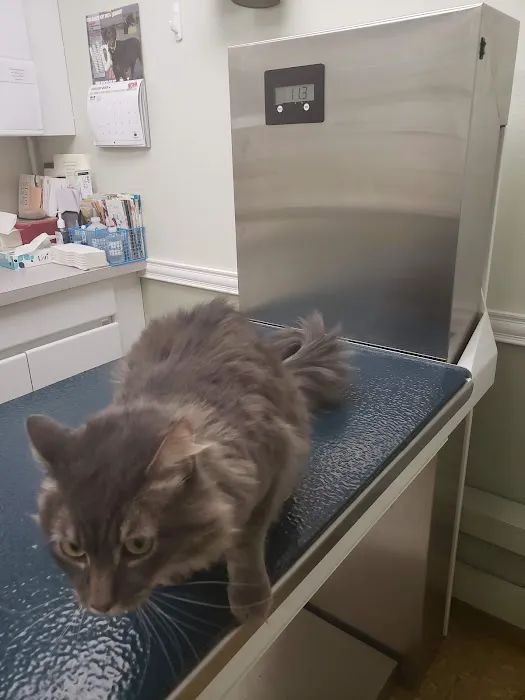 Wayne Animal Hospital 12