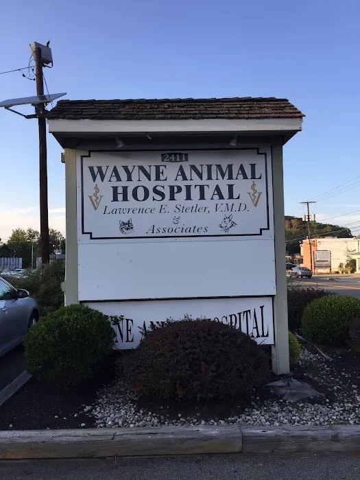 Wayne Animal Hospital 12