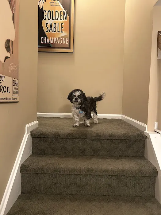 North Jersey Animal Hospital 7