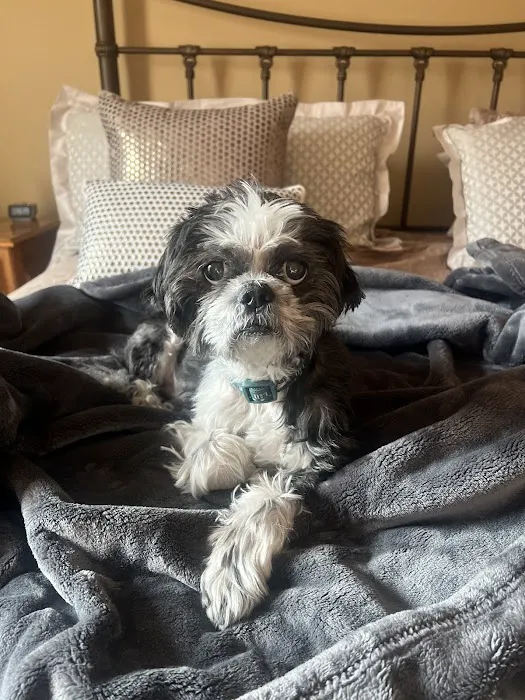 North Jersey Animal Hospital 3