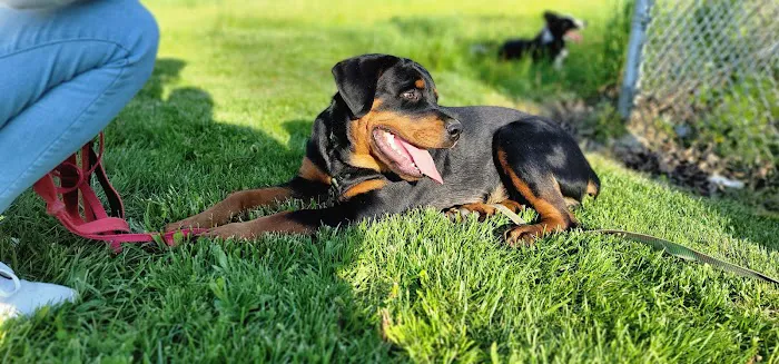 North Jersey Animal Hospital 2