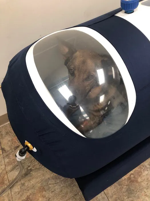 Riverdale Integrative Veterinary Care 12