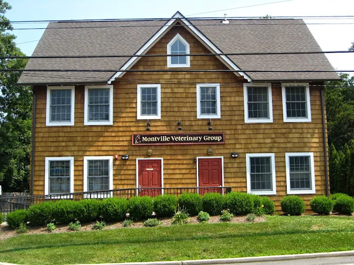 Montville Veterinary Group 4