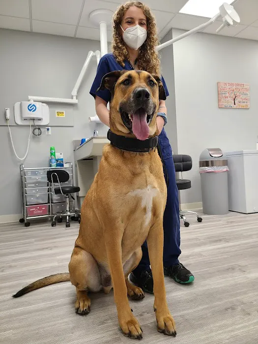 Devotion Veterinary Care 6