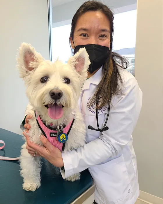 Devotion Veterinary Care 1