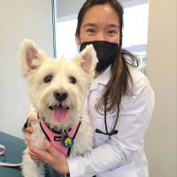 Devotion Veterinary Care ico