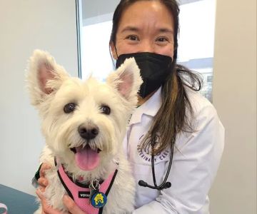 Devotion Veterinary Care