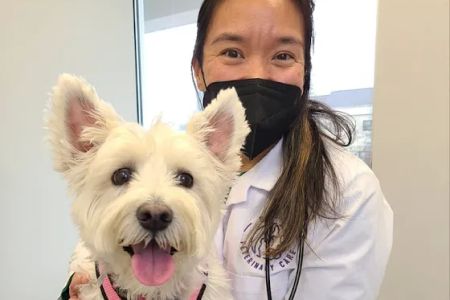 Devotion Veterinary Care