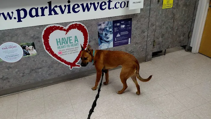 Park View Veterinary Hospital 12