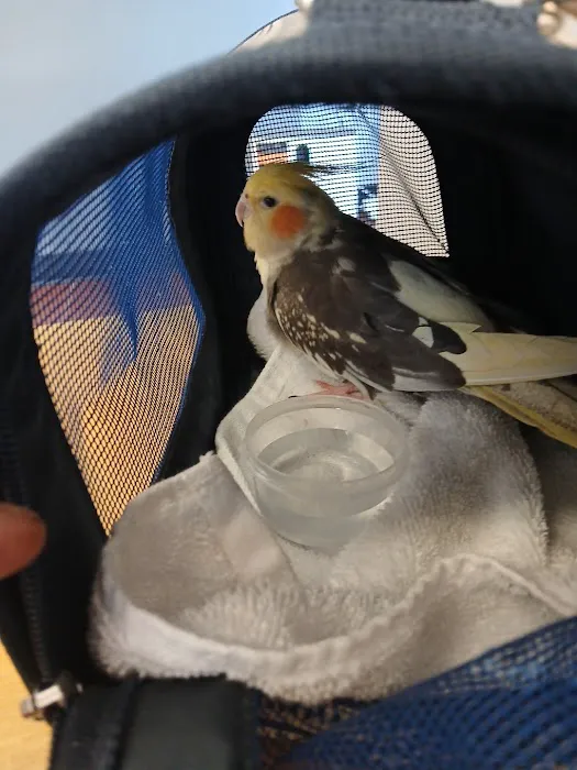 Companion Animal Hospital & Avian/Exotic Clinic 12