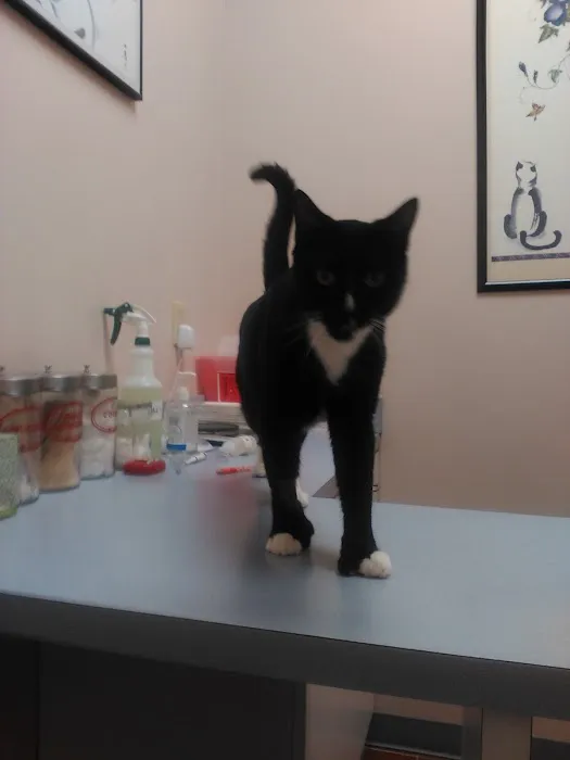 Companion Animal Hospital & Avian/Exotic Clinic 12