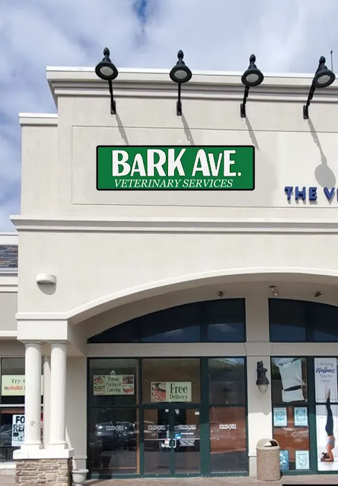 Bark Avenue Veterinary Services 12