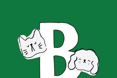 Bark Avenue Veterinary Services