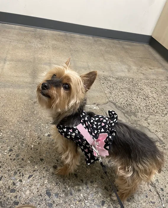 Vetco Total Care Animal Hospital 3