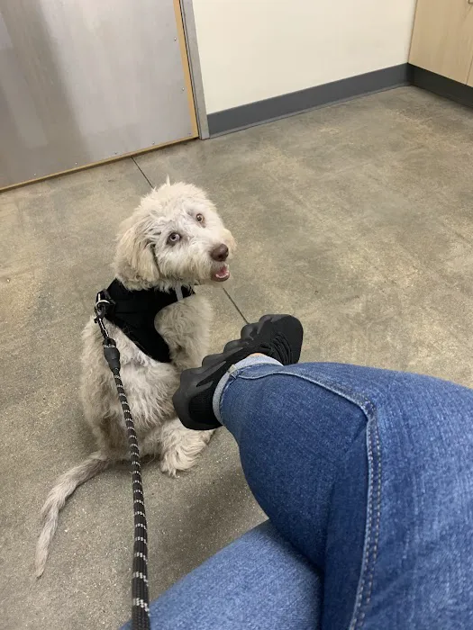 Vetco Total Care Animal Hospital 2