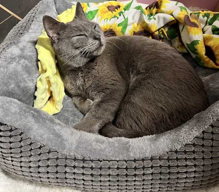 Vetco Total Care Animal Hospital 4