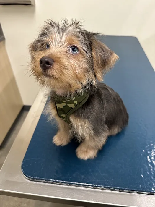 Vetco Total Care Animal Hospital 7