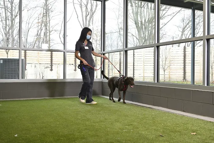 Animal Emergency & Referral Associates 9