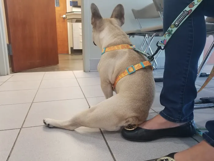Animal Emergency & Referral Associates 4