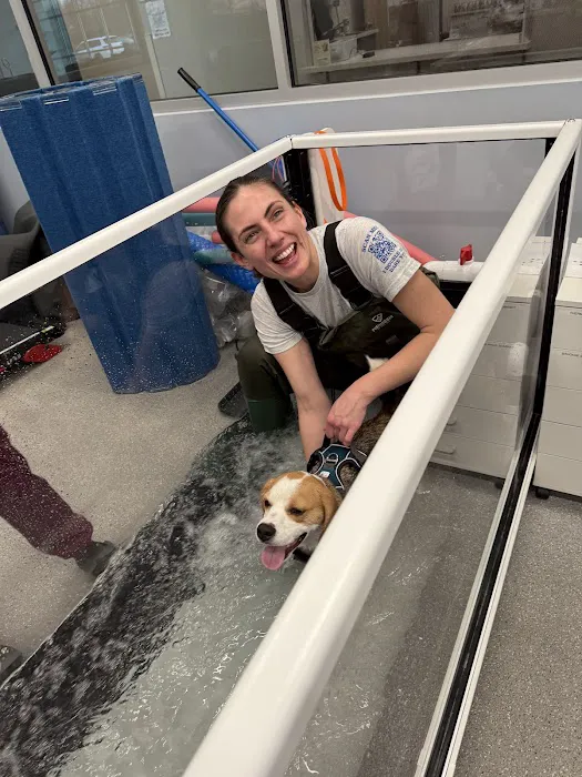 Alpha Animal Rehabilitation and Fitness 12