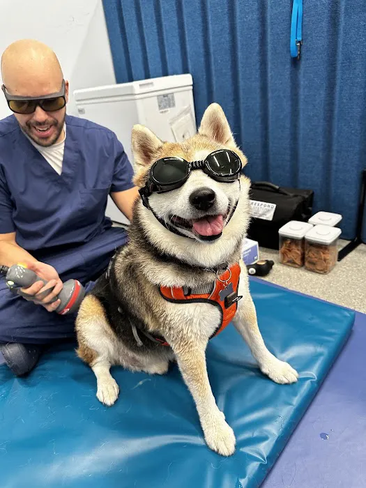 Alpha Animal Rehabilitation and Fitness 12
