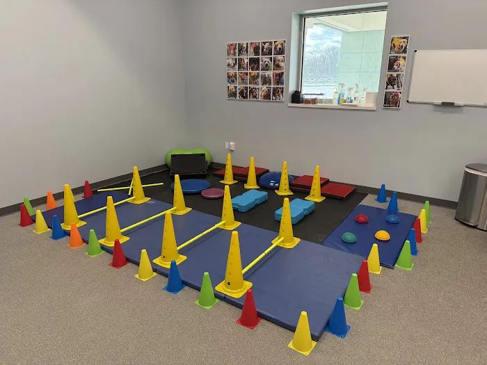 Alpha Animal Rehabilitation and Fitness 12
