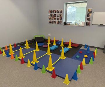 Alpha Animal Rehabilitation and Fitness